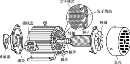 三相異步電動機構(gòu)成